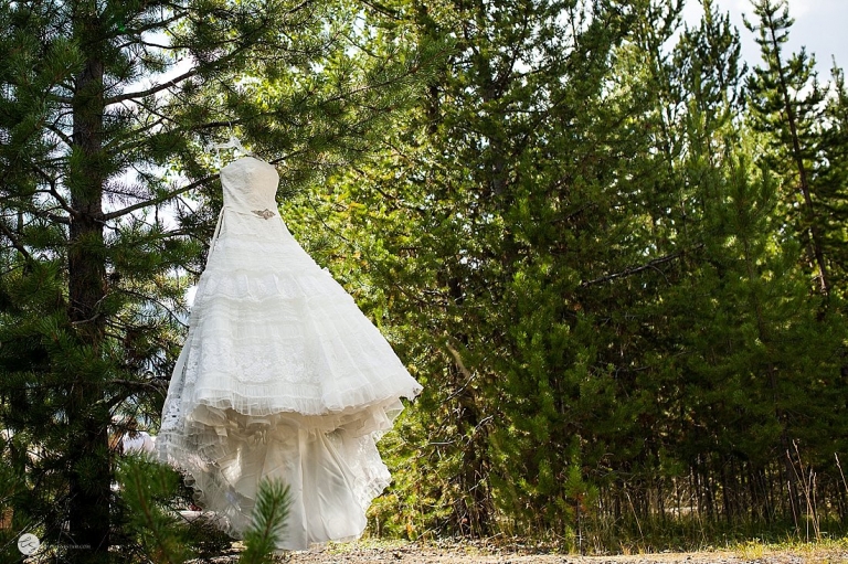 wedding dress hanging on tree