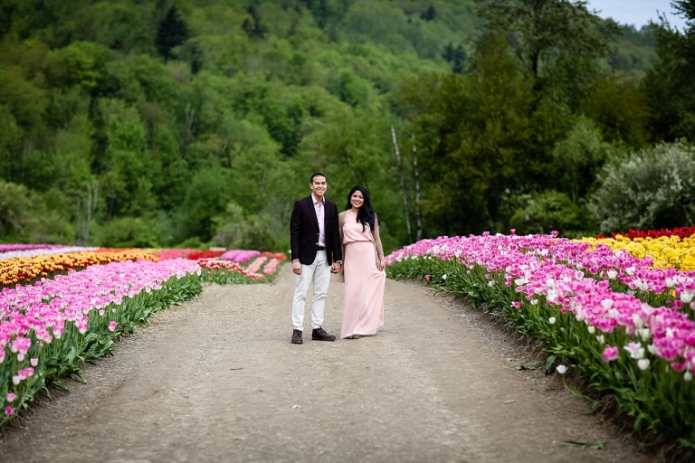 Engaged couple holding hands in the fields at the Abbotsford Tulip Festival
