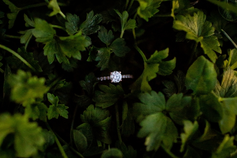 engagement ring in the grass